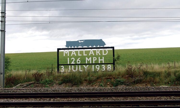 Mallard sign